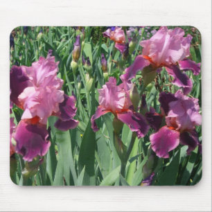 Lila Irises Vår Blommigt Musmatta