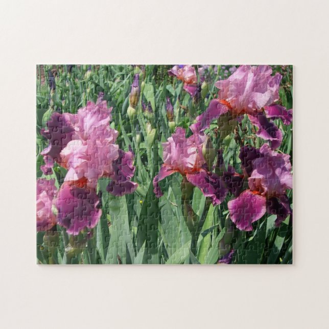 Lila Irises Vår Blommigt Pussel (Horisontell)