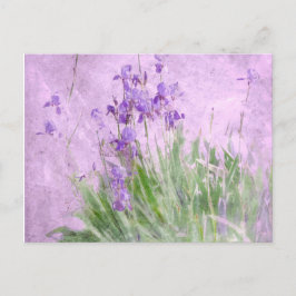 Lila Irises Watercolor - Vykort