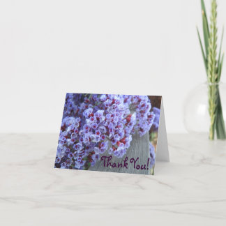 Lila Itty-Bitty's Tack Kort