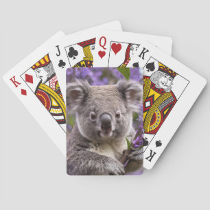 Lila Jacaranda Koala Bear Casinokort