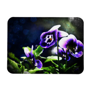 Lila Johnny Jump Ups and Stars Magnet