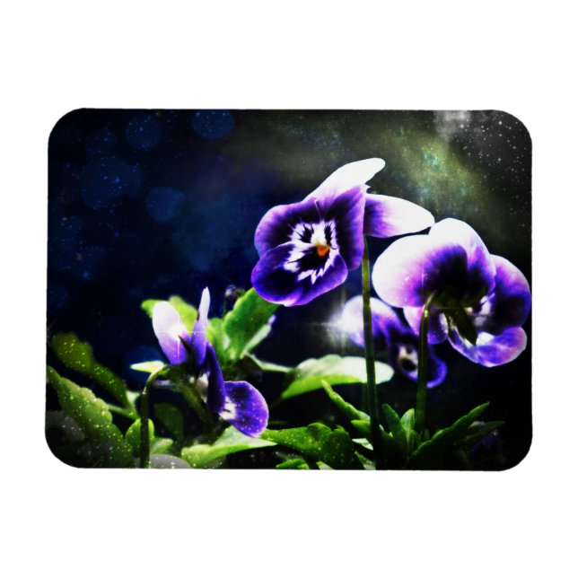 Lila Johnny Jump Ups and Stars Magnet (Horisontell)