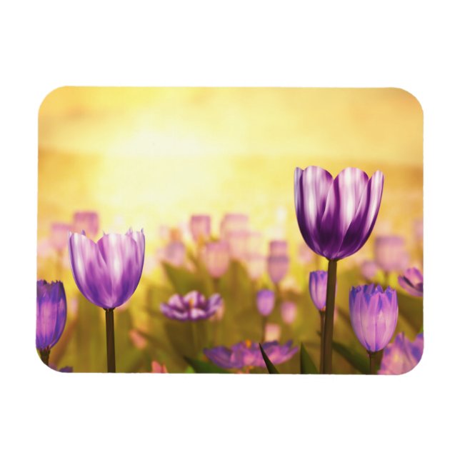 Lila Jubilee Flexible Magnet (Horisontell)