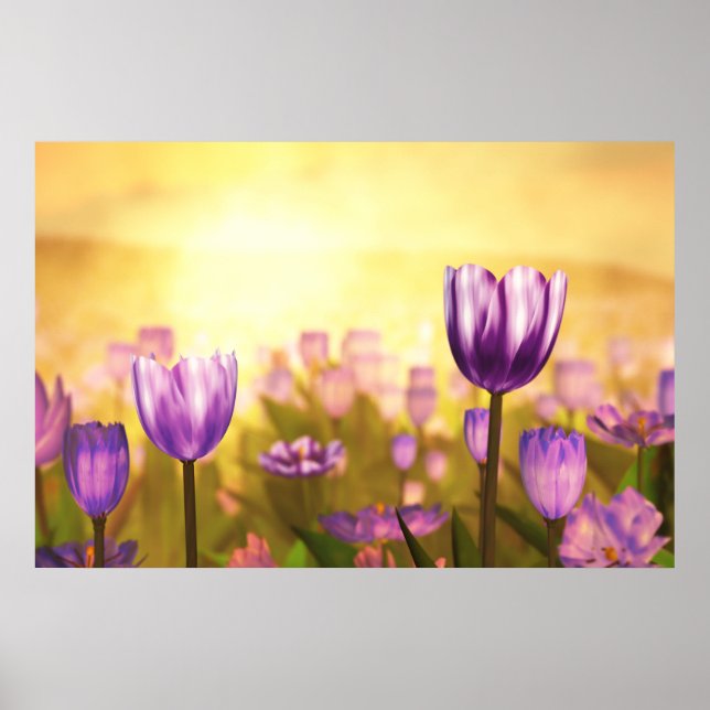 Lila Jubilee Print Poster (Framsidan)