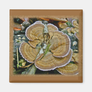 Lila Kant Shelf Fungus Coordinating Items Magnet