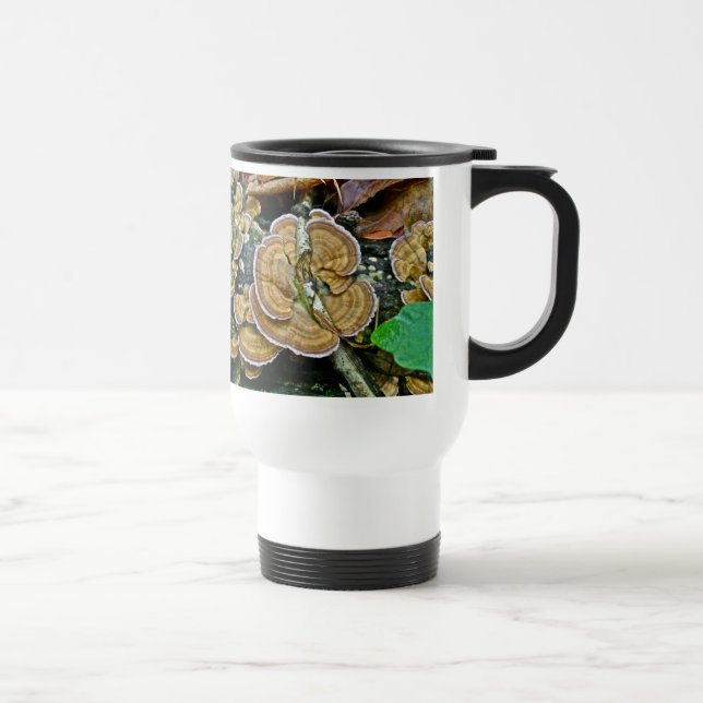 Lila Kant Shelf Fungus Coordinating Items Resemugg (Höger)