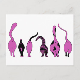 Lila Kattknapp Vykort