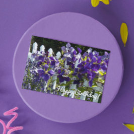 Lila Klematis på Vit Staket Blommig Födelsedag Kort