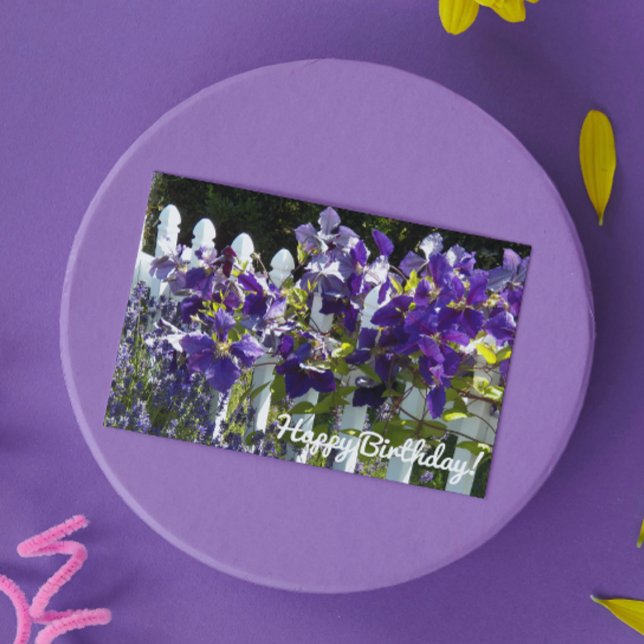Lila Klematis på Vit Staket Blommig Födelsedag Kort (In Situ)
