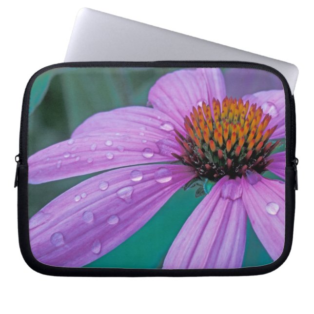 Lila konblomma med vattendroppar laptop fodral (Framsidan)