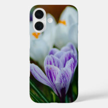 Lila krokus vårblommor iPhone 16 fodral