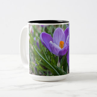 Lila krokusblomma Två-Tonad mugg