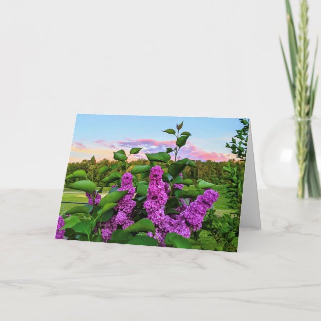 Lila Laktor "Ha en underbar dag" Kort (Framsida)