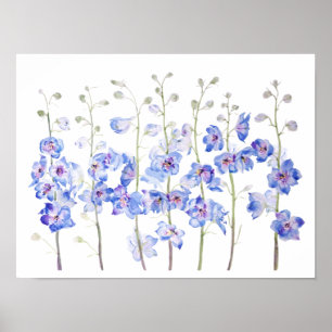 lila larkspur delphinium fält poster