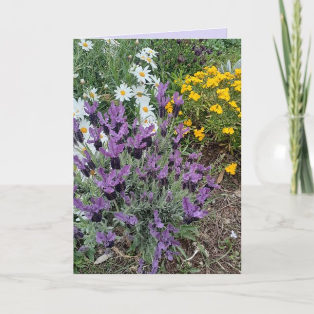 Lila Lavendel & Tusenskönas Blommiga Hälsningar Kort (Framsida)