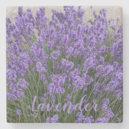 Lila lavendelblommor blomster stenunderlägg