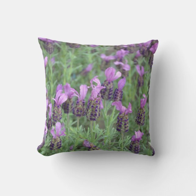 Lila lavender-blommor dekorativ kudde (Framsida)