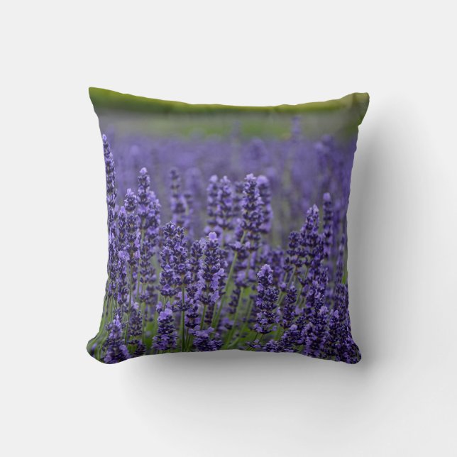 Lila lavender-blommor kudde (Framsida)