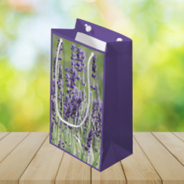Lila Lavender Blooms Blommigt