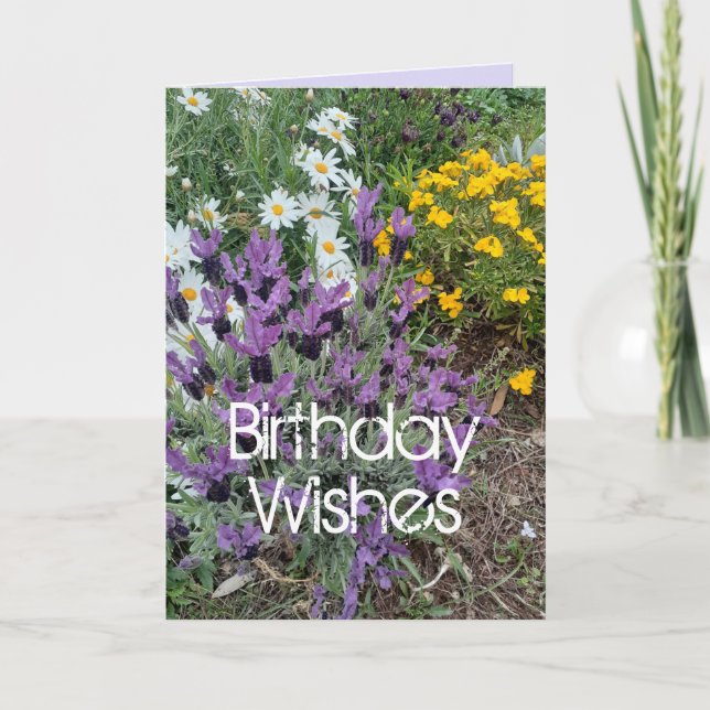Lila Lavender & Daisy Flower Blommigt Birthday Car Kort (Framsida)