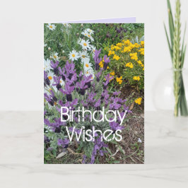 Lila Lavender & Daisy Flower Blommigt Birthday Car Kort