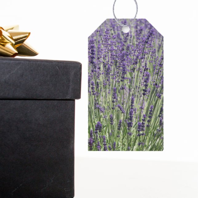 Lila Lavender Fält Blommigt Presentetikett (In Situ)
