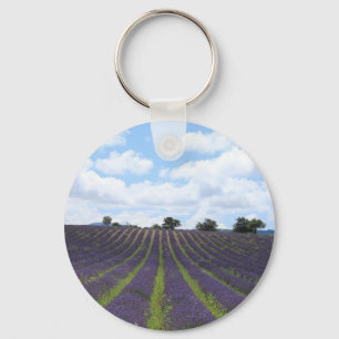 Lila lavender fält nära Sault Nyckelring