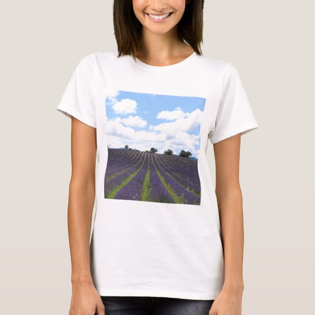 Lila lavender fält nära Sault T-shirt (Framsida)