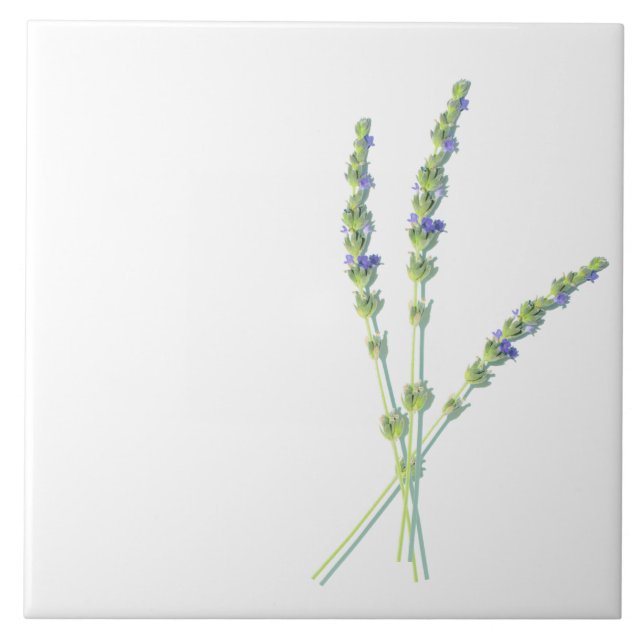 Lila Lavender Flower Flowers Kakelplatta (Framsidan)