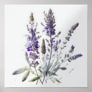 Lila Lavender Flowers Art Print Poster