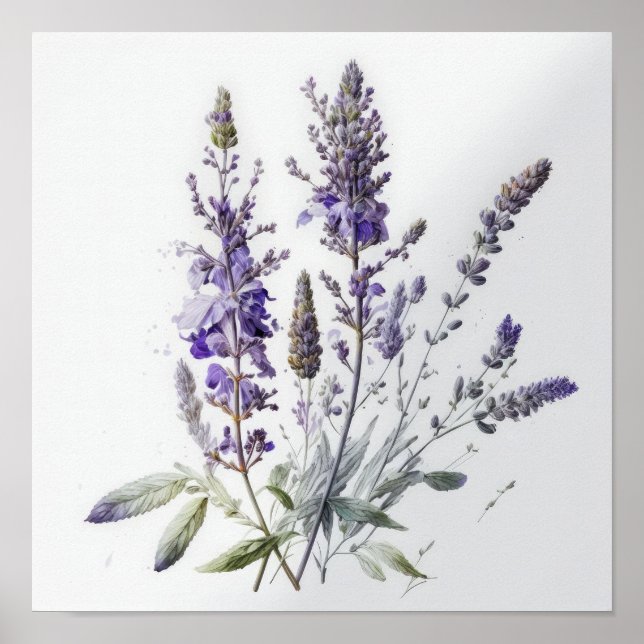 Lila Lavender Flowers Art Print Poster (Framsidan)