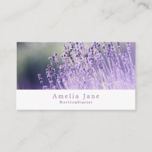 Lila Lavender, Gardener, trädgårdsodlare Visitkort
