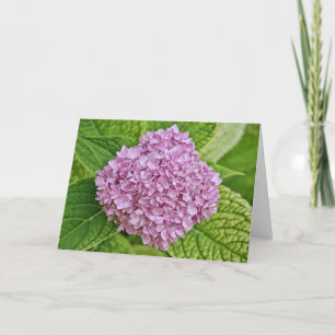 Lila Lavender Hydrangea Puff Note Card Kort