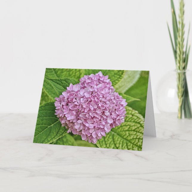 Lila Lavender Hydrangea Puff Note Card Kort (Framsida)