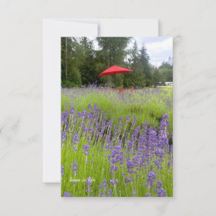 Lila Lavender, Red Umbrella Anteckningskort