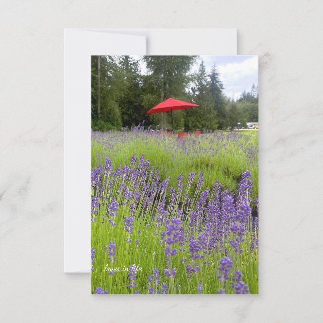 Lila Lavender, Red Umbrella Anteckningskort (Framsida)