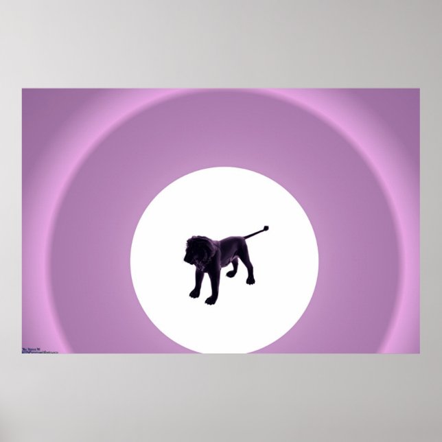 Lila Lejon Poster (Framsidan)