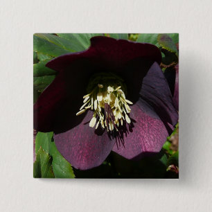 Lila Lenten Ro Påsk Flower Knapp