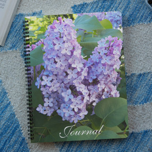 Lila Lilac Blooms Blommigt Anteckningsbok
