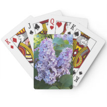 Lila Lilac Blooms Blommigt