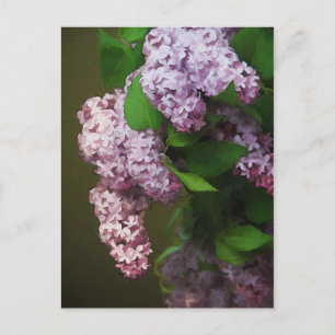 Lila Lilac Bouquet Painting Vykort