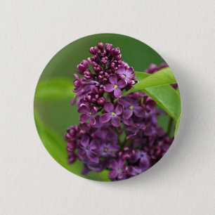 Lila Lilac Button Knapp