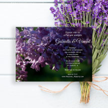 Lila Lilac Flowers Bröllop