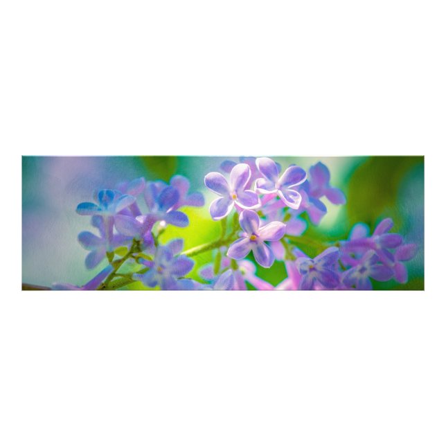 Lila Lilac Flowers Fototryck (Framsidan)