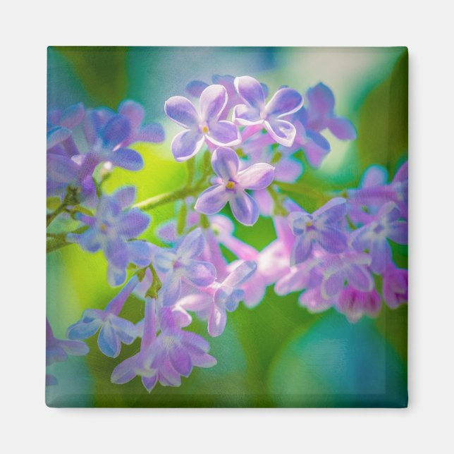 Lila Lilac Flowers Magnet (Framsidan)
