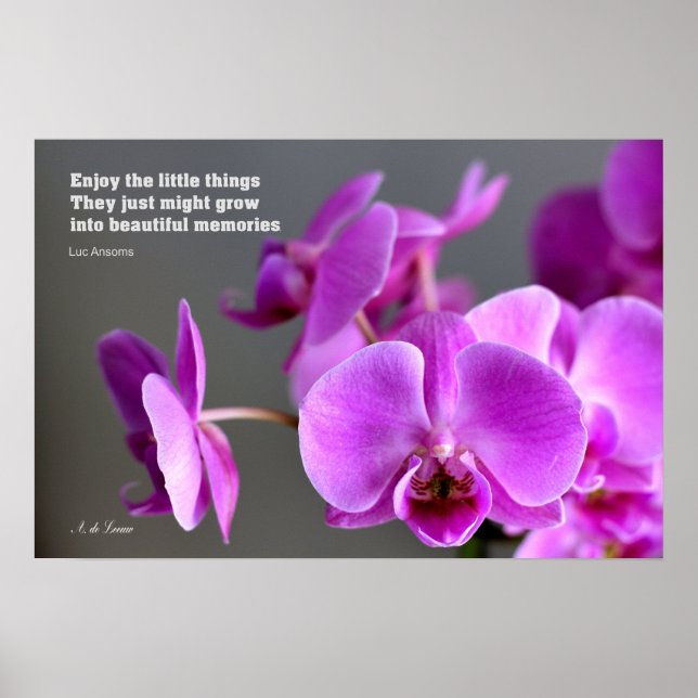 Lila lilac mauve orchid, inspirerande citat poster (Framsidan)