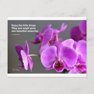 Lila lilac mauve orchid, inspirerande citat vykort