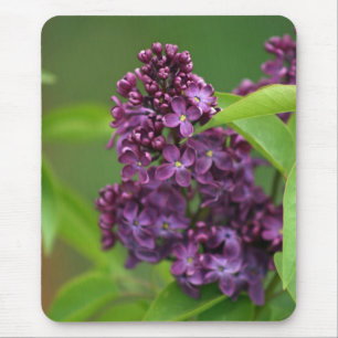 Lila Lilac Mousepad Musmatta