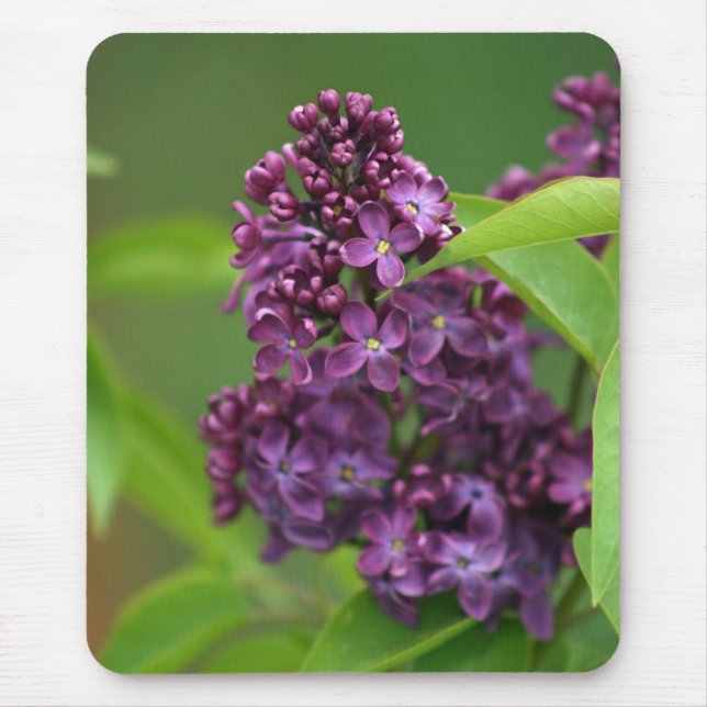 Lila Lilac Mousepad Musmatta (Framsidan)